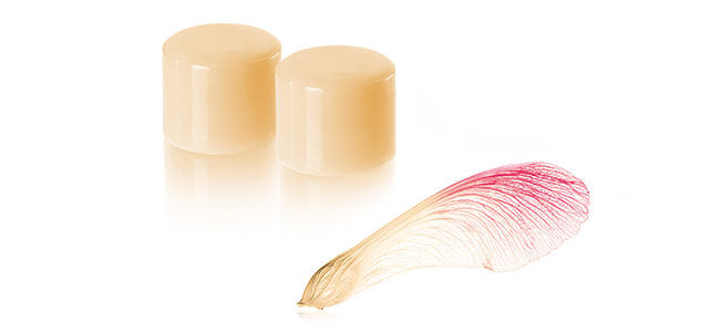 ceraMotion® LiSi: